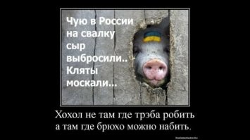 Карстовые воронки в Гватемале: как город миллионник оказался над бездонной пропастью?