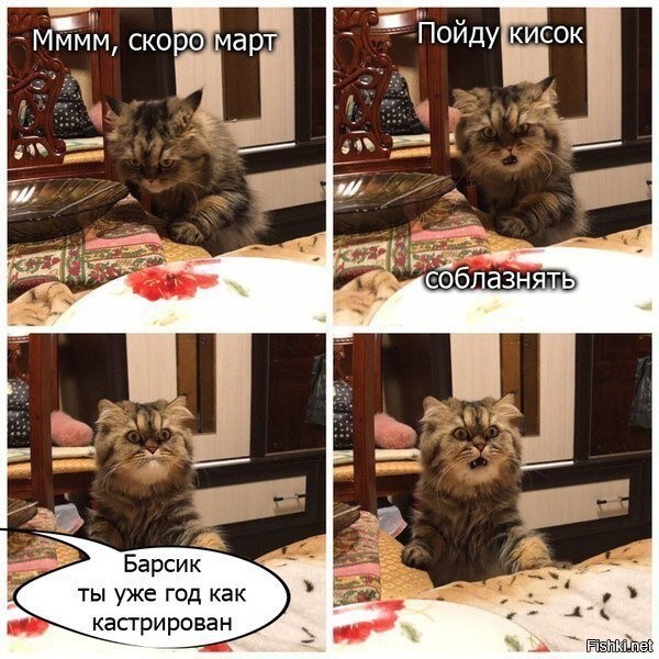 Месть сладка: 30 животных, которые отомстили за то, что им не нравится