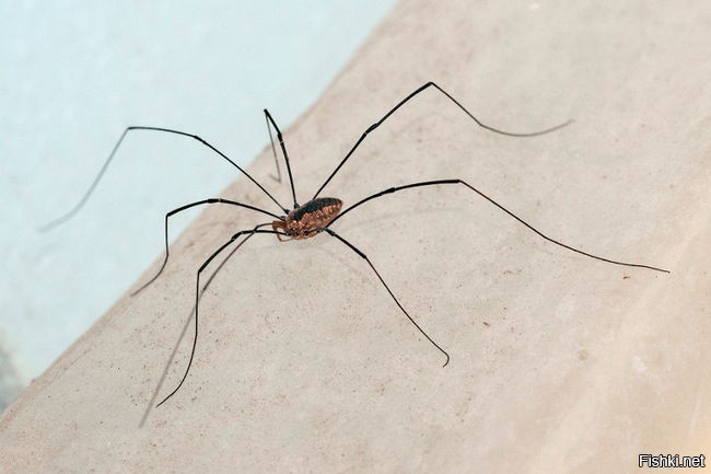 Солянка от 12.12.2022