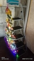 17 альтернативных ёлок на Новый год, которые выглядят оригинально и создают настроение праздника