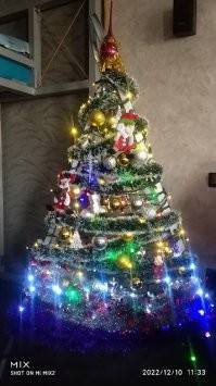 17 альтернативных ёлок на Новый год, которые выглядят оригинально и создают настроение праздника