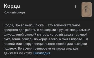 "Еще три года назад ее звали Огненная Лола из стрип-шоу «Дикие лошади».