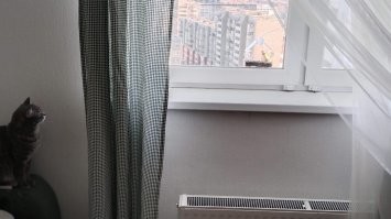 Я своему коту купил вот такую птичью кормушку.
Ему шибко нравица...