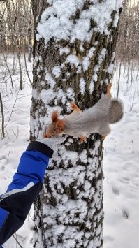Мы подкармливаем белок =)