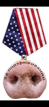 Пёс услышал знакомые слова