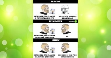 Это вазимосвязано) Мак явно не младше 10 лет (поэтому хрен что под маком поставишь из актуального ПО), на свежую винду типа 10-11 дров не найдешь днем с огнем, буткампа под них нет. А линуксу пофигу, он на любое железо встанет)
