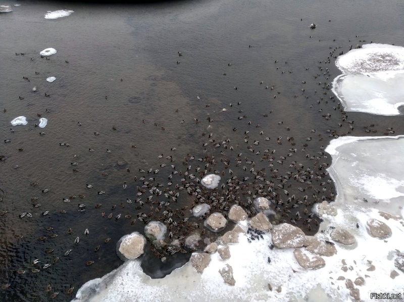 Красноярск и никакой политики...