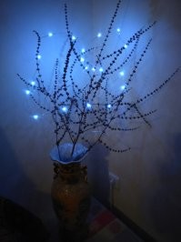 У меня такая.