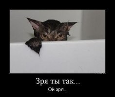 Месть сладка: 30 животных, которые отомстили за то, что им не нравится