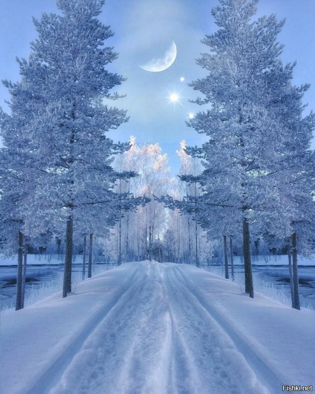 Начните, на небе звезды,;
Мерзни, мерзни волчий хвост! 
Привет)