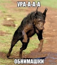 Как возникла традиция пить на брудершафт?