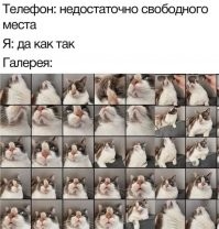 Ну так и есть. Такое удалять нельзя. Всё нужное.