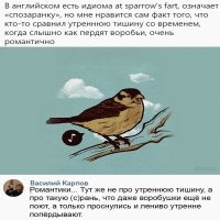 Канадец рассказал о самых кошмарных русских выражениях