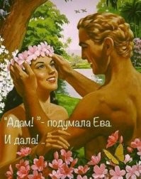 Скрины из соцсетей