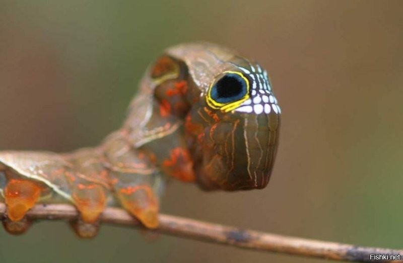 Не всем так повезло!!!