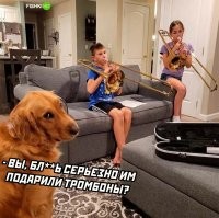 Комментарии и картинки из соцсетей. Свежак за 13 декабря