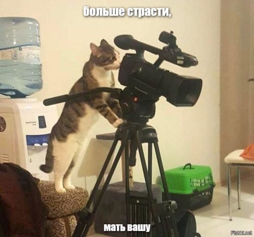 Солянка от 13.12.2022