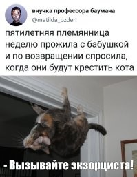С котом крещение не прокатит.
Там всё сложнее
