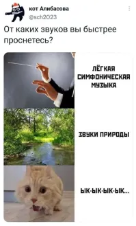 Не ищите здесь смысл. Здесь в основном маразм