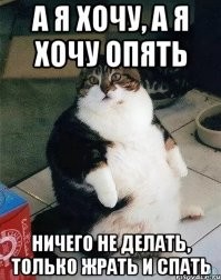 Не ищите здесь смысл. Здесь в основном маразм