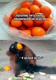 5 кило - целый день? Максимум - 2 часа