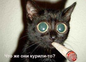 Что случилось с фантомным котом, пугавшим будущего писателя в нежном возрасте?