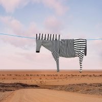 Это не "Идеальная случайность", это арт-проект от фотографа Helga Stentzel