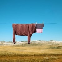 Это не "Идеальная случайность", это арт-проект от фотографа Helga Stentzel