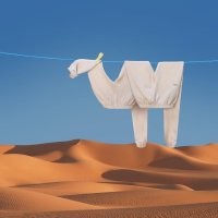 Это не "Идеальная случайность", это арт-проект от фотографа Helga Stentzel
