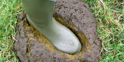 Вступить и наступить разницы нет.