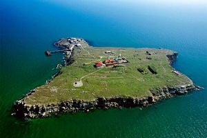 Газ, нефть? Это не причём.
 Если мозгов нет, то за буханку хлеба убивать будут.