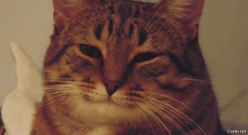 .. и любрикант..