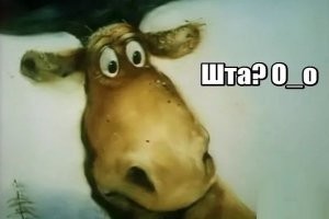 Продолжаем барражировать соцсети