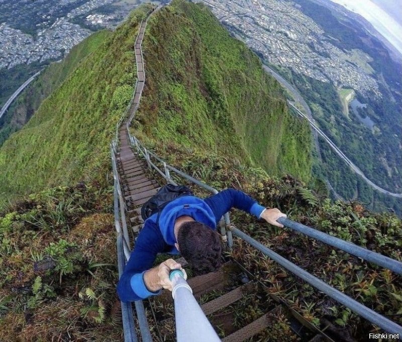 Продолжаем барражировать соцсети