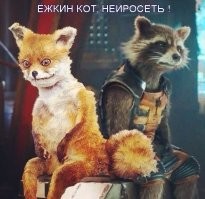 Продолжаем барражировать соцсети