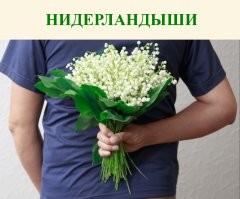 Продолжаем барражировать соцсети