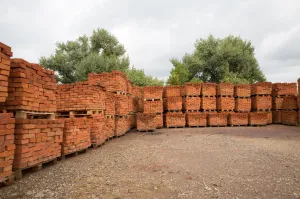 Девочка случайно зацепилась за воздушного змея и взмыла в небо