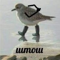 Забавная реакция девочки, впервые увидевшей мир сквозь стёкла очков