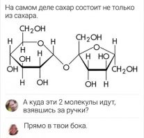 Они идут делать спирт и пердеть при этом

C6H12O6 + дрожжи = 2 C2H5OH + 2 CO2 + тепло