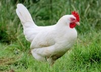 Выехала сразу во второй ряд и замерла....