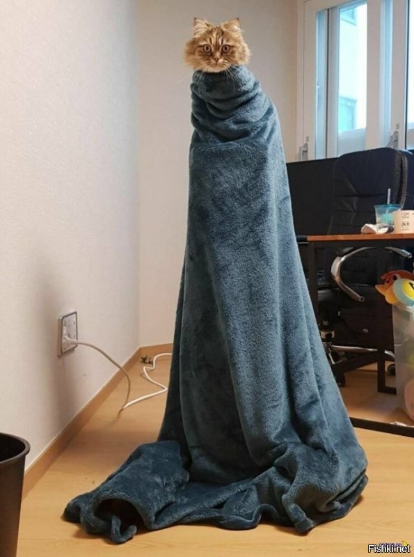 Солянка от 15.12.2022