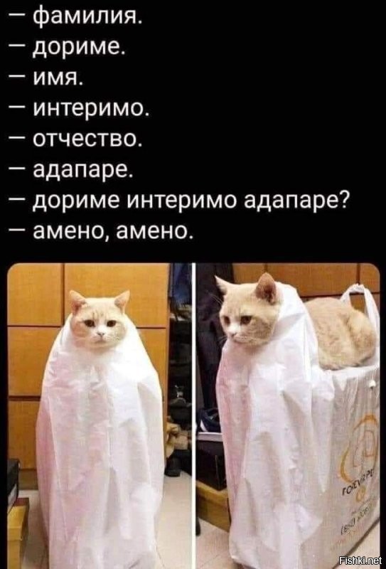 Солянка от 15.12.2022