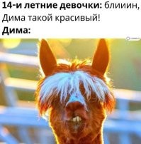 Смешные и познавательные картинки