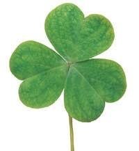 Тогда уж ирландский клён.