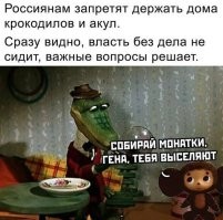 А чебурашек можно?