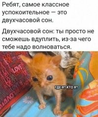 В точку.Я так проснулся,смотрю на спящую жену и не понимаю кто это.Где я?Кто я?Даже страшно стало.