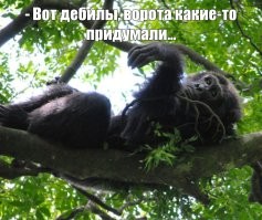 Люди жили даже в местах, где камня нет. И каменных пещер не имели... А всё одно - выжили. Приспособиться к жизни можно и без дверей...
 Но придурки при любой цивилизации существуют - "мне нужнее...!"