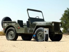 Любой размер хороший, но большой — лучше прочих