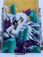 Ну, по классике - Лебяжье под Питером