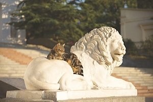 запереться одному в квартире, выключить телефон, бутерброды-оливье-виски, поставить сериальчик...